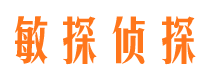 合浦市私家侦探